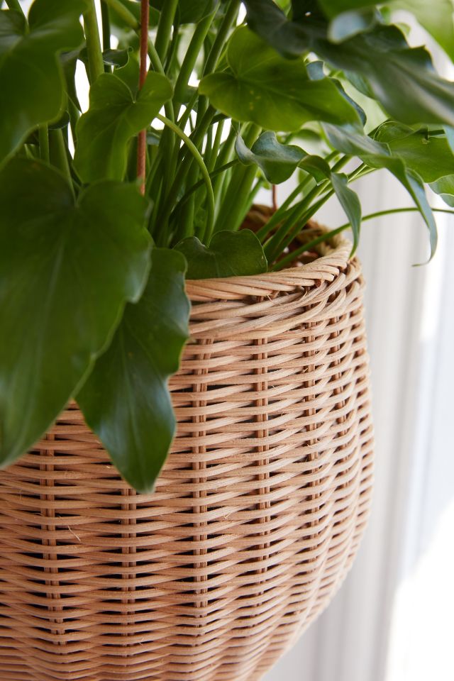 Rae Rattan Hanging Planter #1