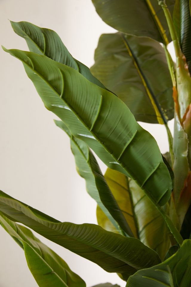 Potted Faux Banana Tree #2