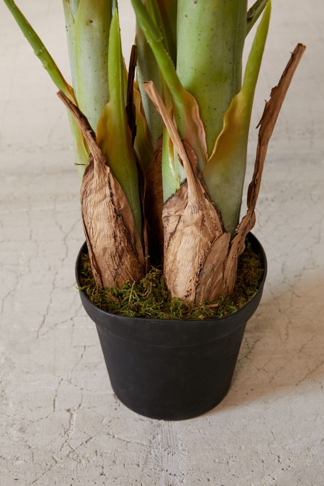Potted Faux Banana Tree #3