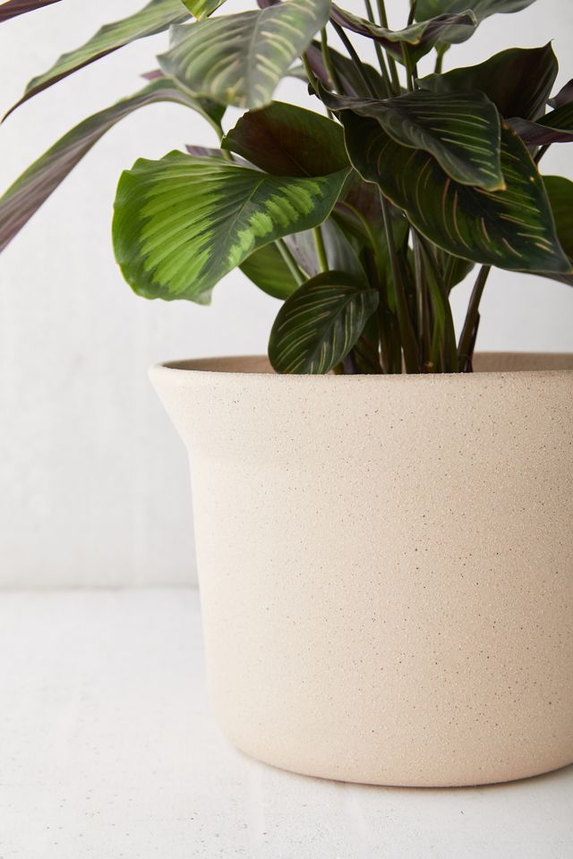 Mae Small Ceramic Planter #1