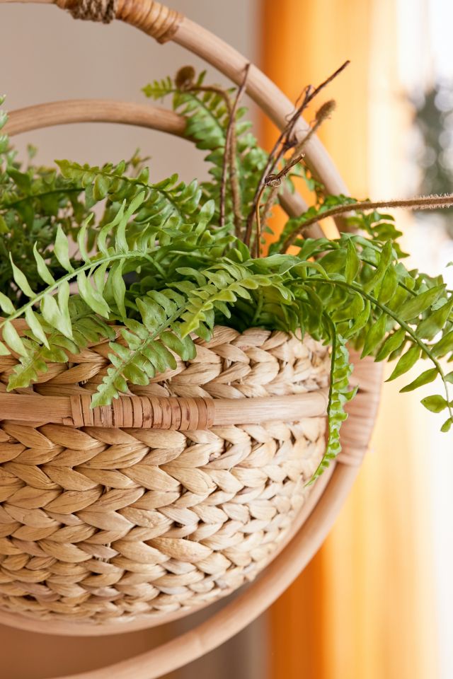 Celestial Hyacinth Hanging Planter #1