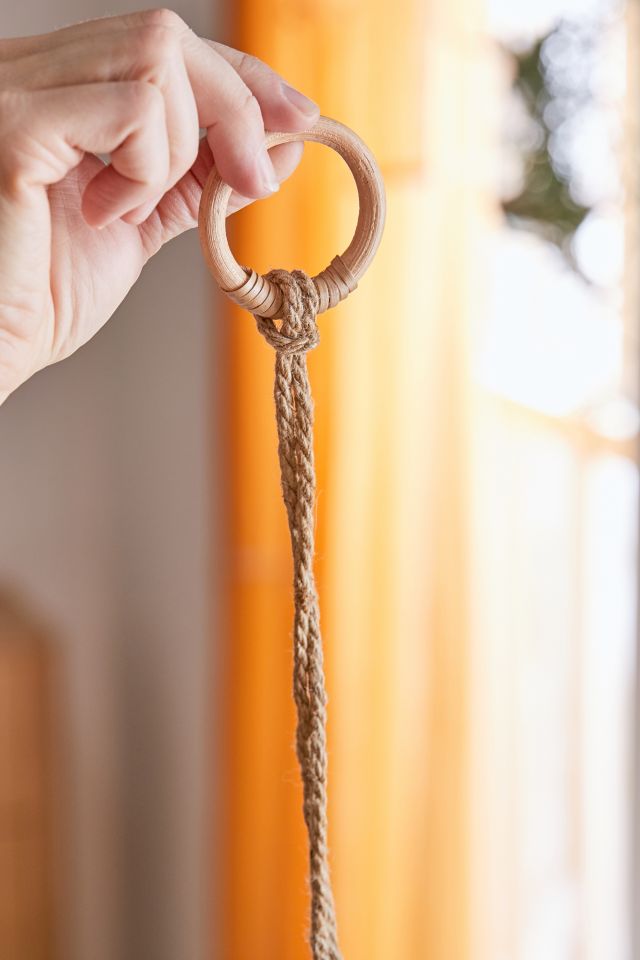 Celestial Hyacinth Hanging Planter #2