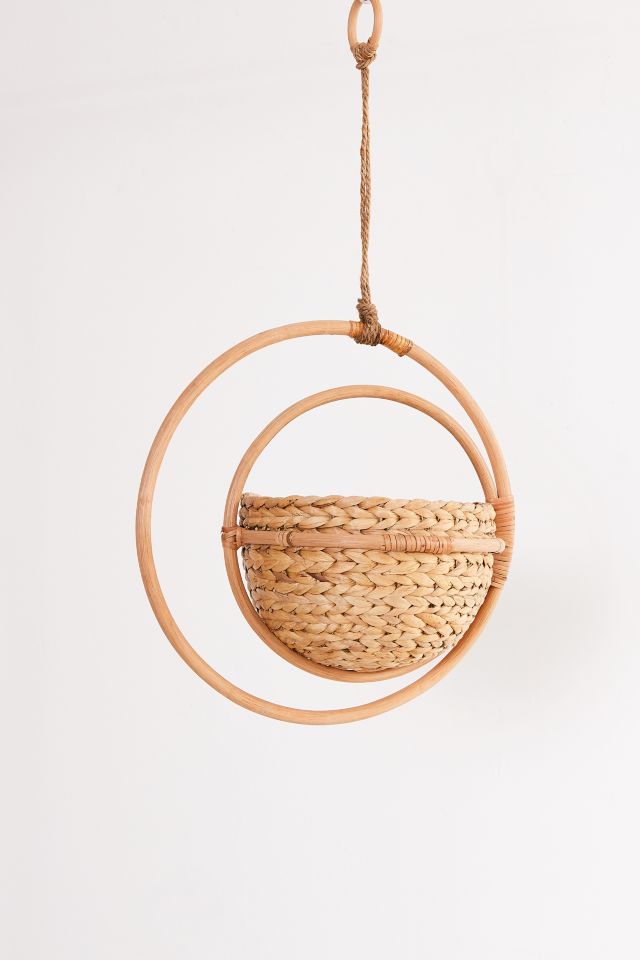 Celestial Hyacinth Hanging Planter #3