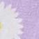 Purple Multi