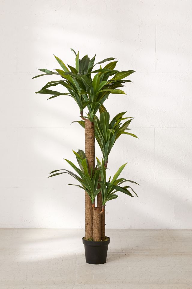 Dracena 5 ft Potted Faux Tree #1