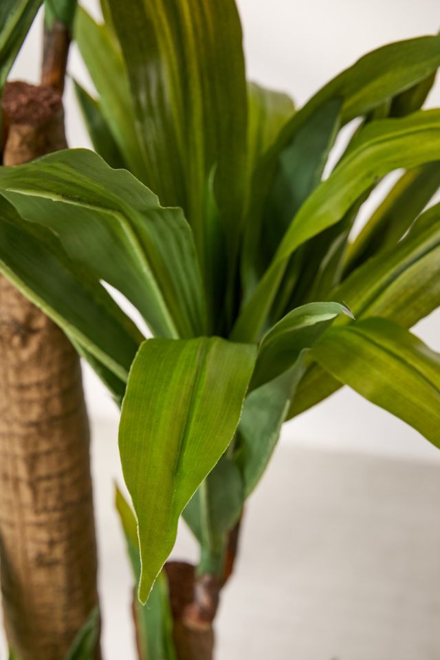 Dracena 5 ft Potted Faux Tree #2