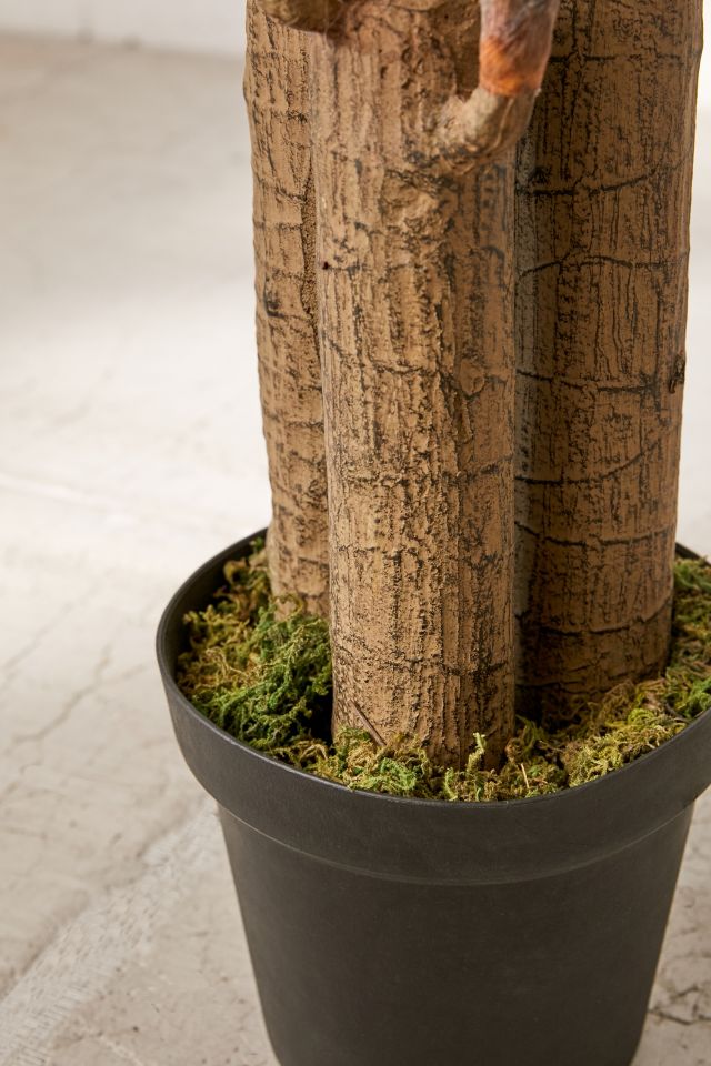 Dracena 5 ft Potted Faux Tree #3