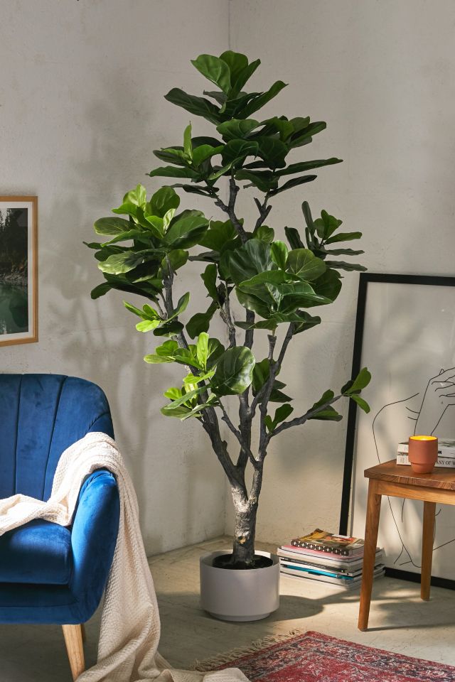 Fiddle Leaf 6 ft Potted Faux Tree Urban Outfitters