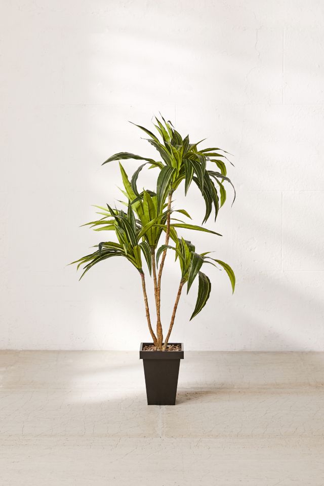 Dracena 4 ft Potted Faux Tree #1
