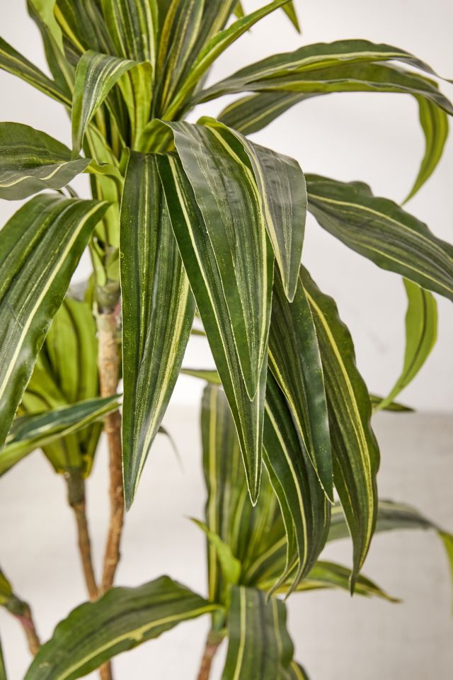Dracena 4 ft Potted Faux Tree #2