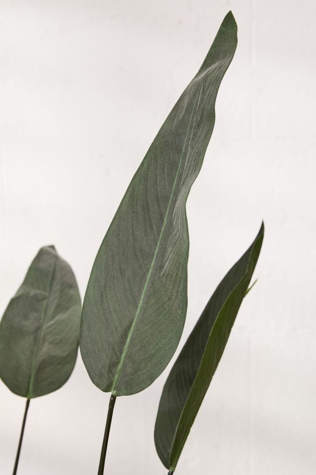 Water Canna Potted Faux Plant #2