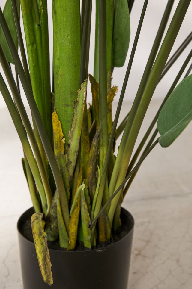 Water Canna Potted Faux Plant #3