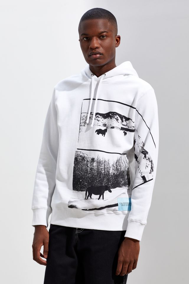 Calvin Klein X Andy Warhol Modern Landscape Hoodie Sweatshirt | Urban  Outfitters