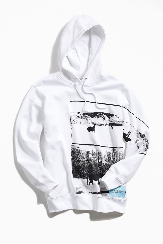 Calvin Klein X Andy Warhol Modern Landscape Hoodie Sweatshirt | Urban  Outfitters