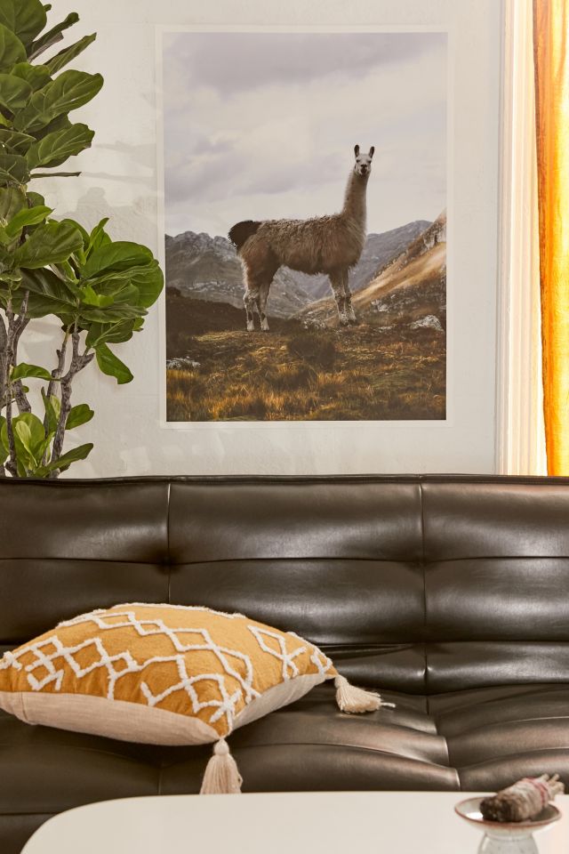 Rodrigo Trevino Peruvian Llama Art Print Urban Outfitters Canada