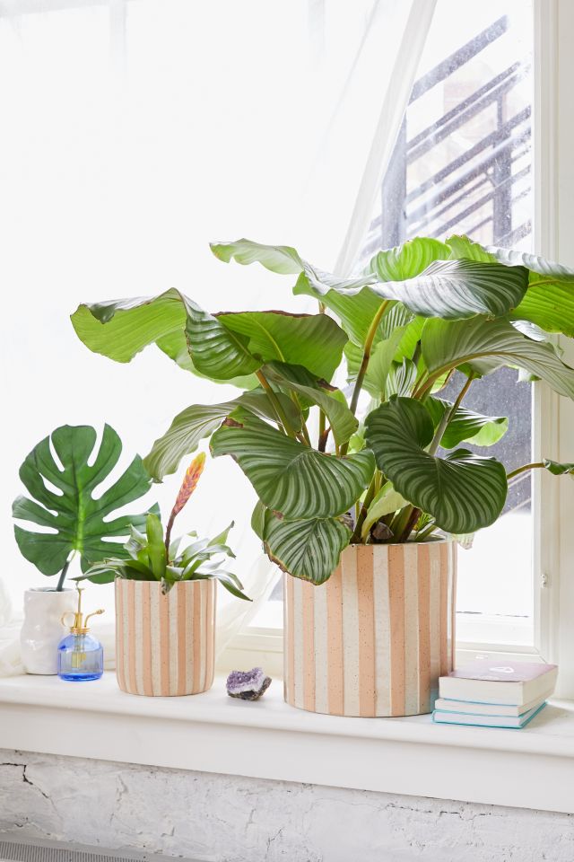 Textured Stripe 10” Planter