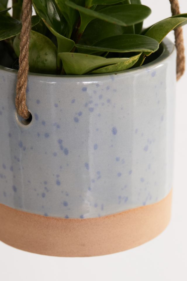 Cylinder Ceramic 6" Hanging Planter #2