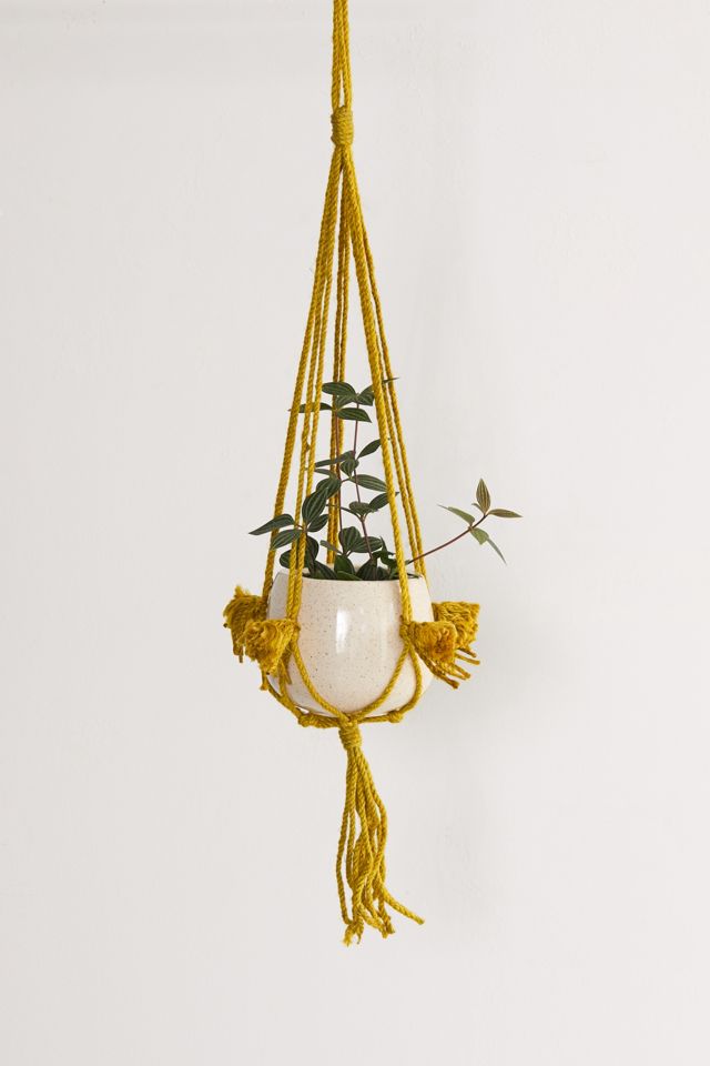 Fringed Hanging Planter #1