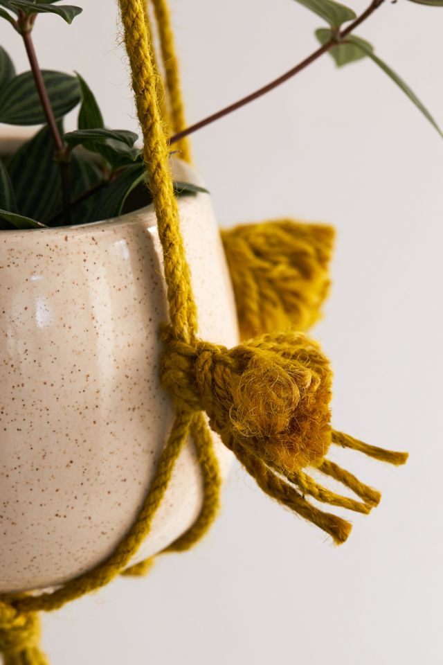 Fringed Hanging Planter #2