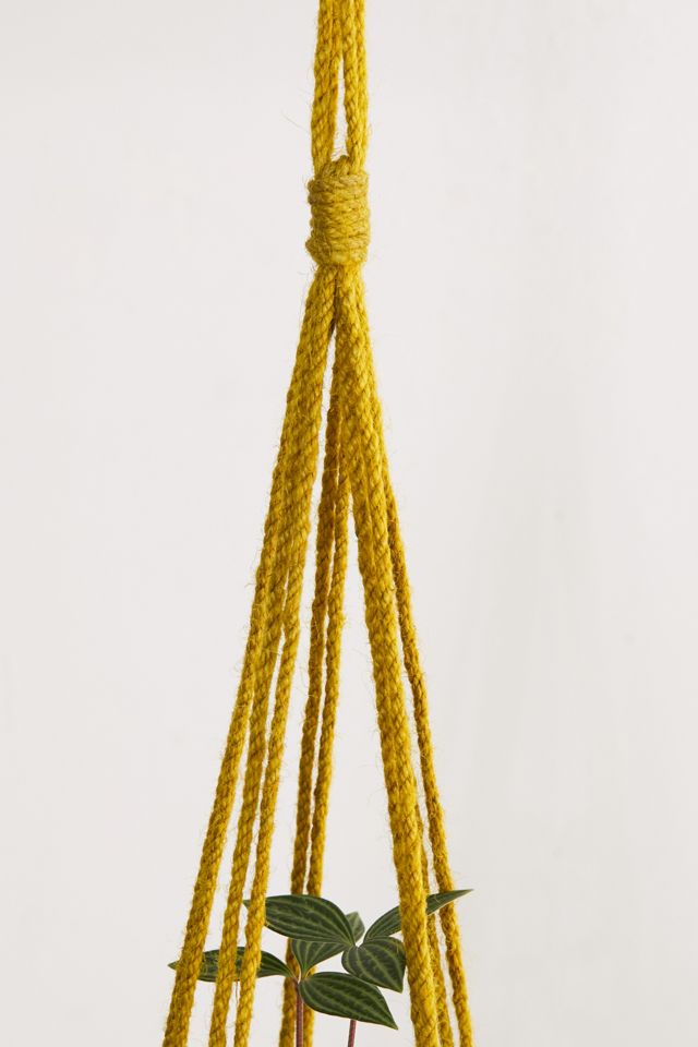 Fringed Hanging Planter #3