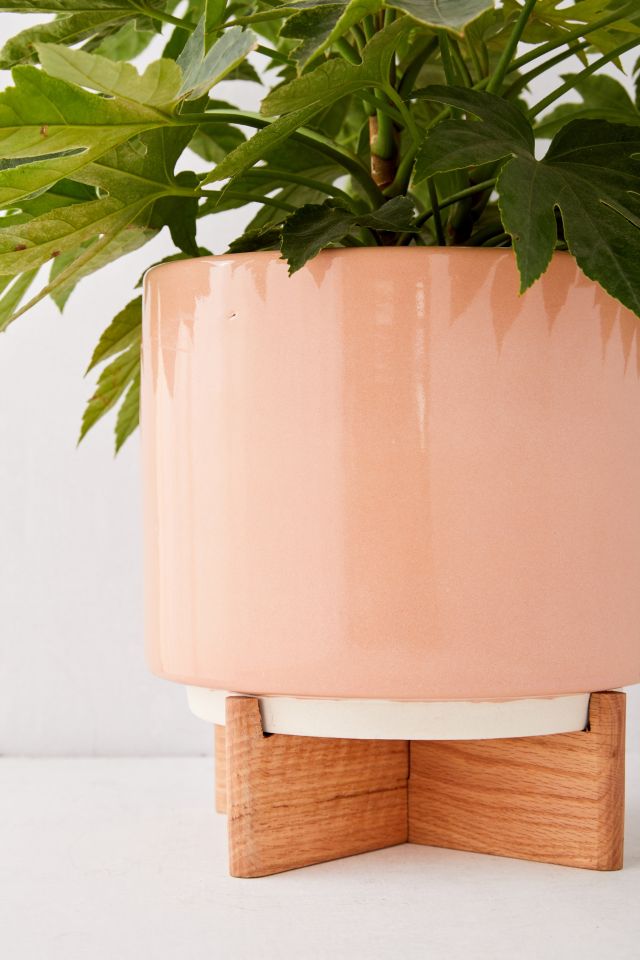 Cecily 10” Planter + Stand #2