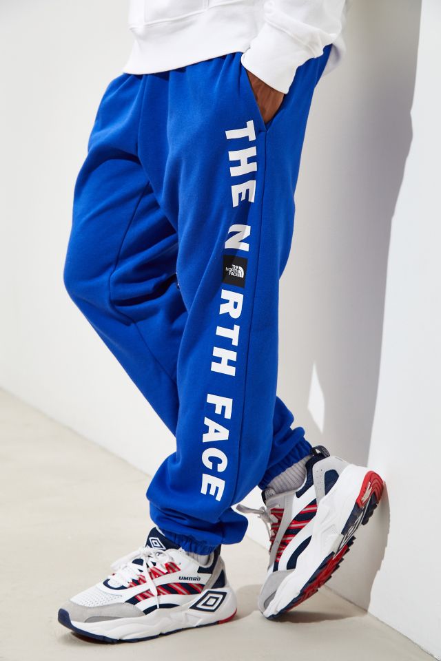 The north 2024 face vert sweatpants