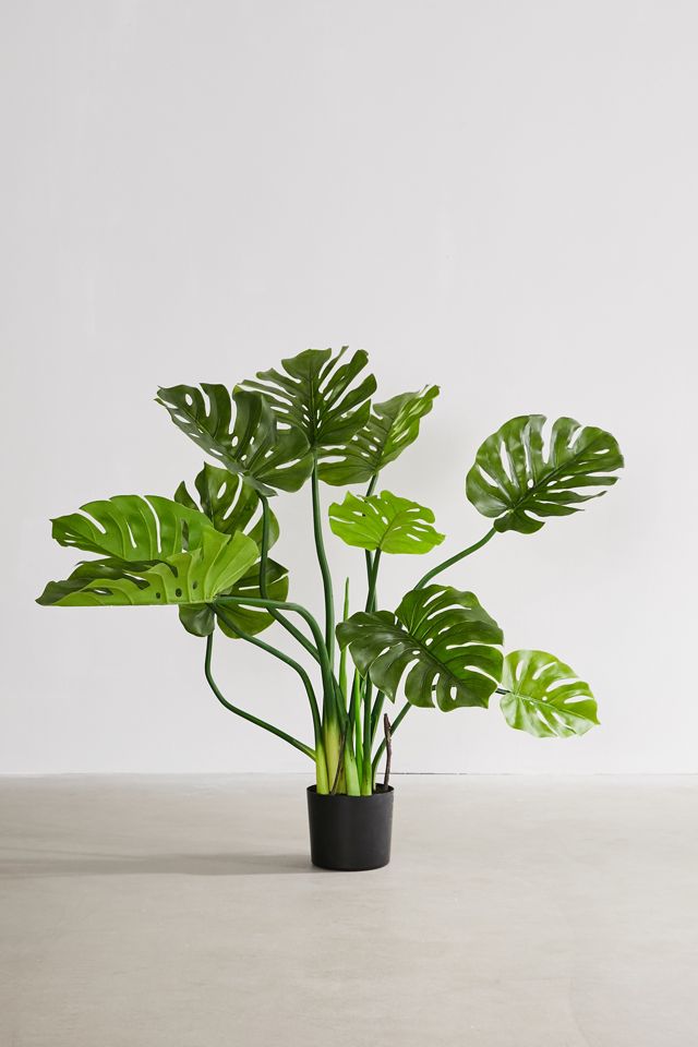 Philodendron Faux Plant #1