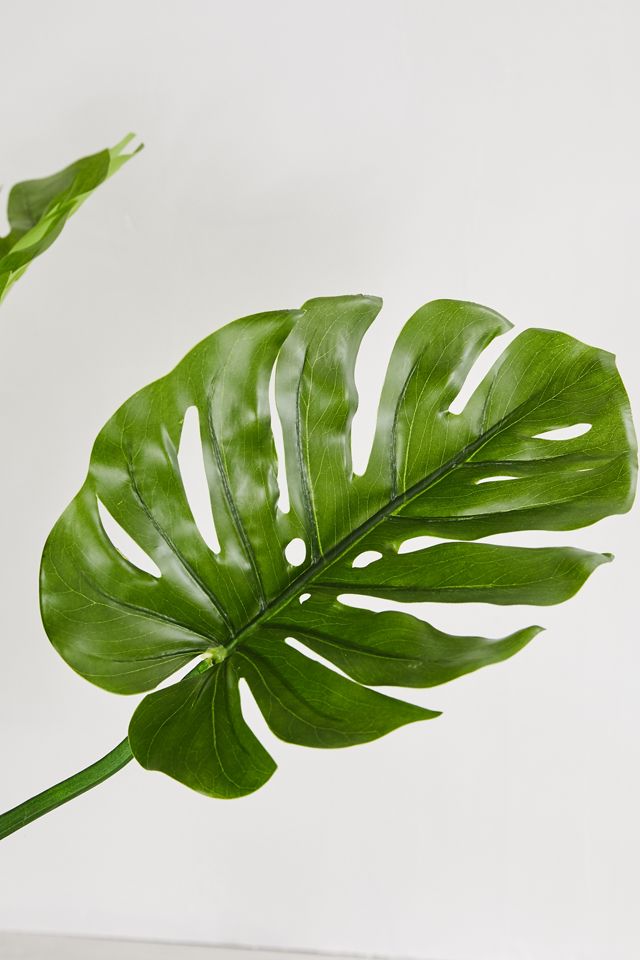 Philodendron Faux Plant #2
