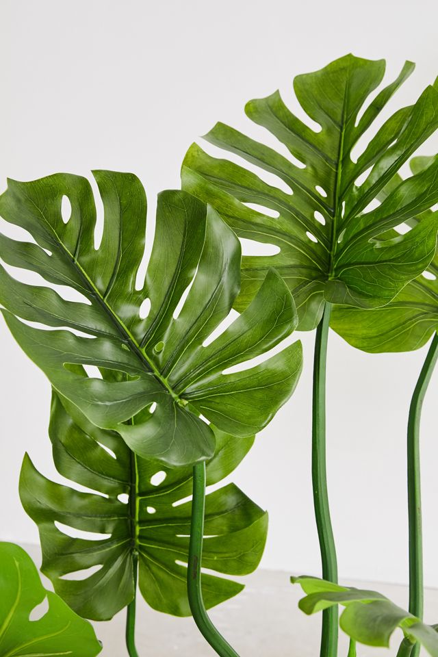 Philodendron Faux Plant #3