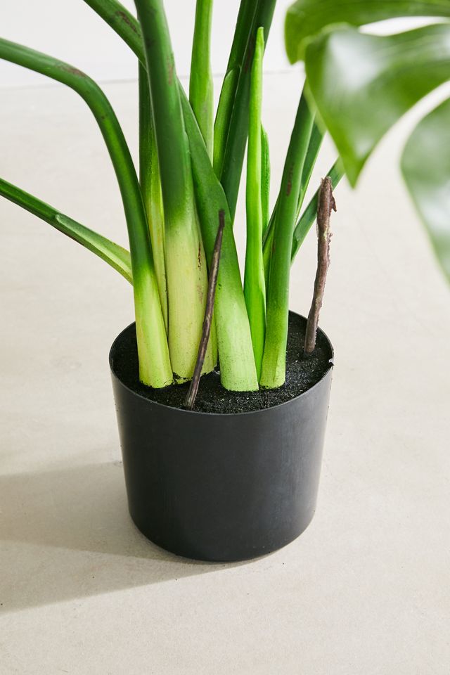 Philodendron Faux Plant #4