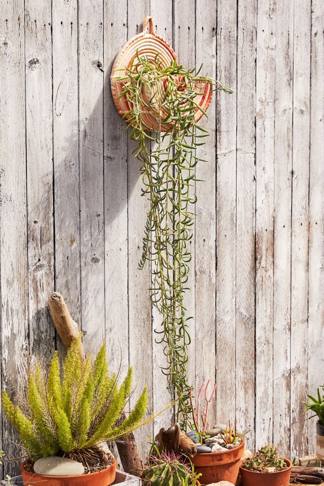 Kenzie Planter Basket #5