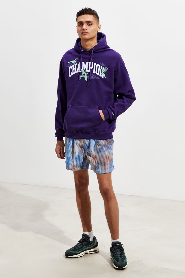 Champion uo exclusive eco fleece 2024 hoodie sweatshirt