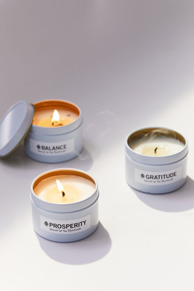 Species By The Thousands Crystal Candle