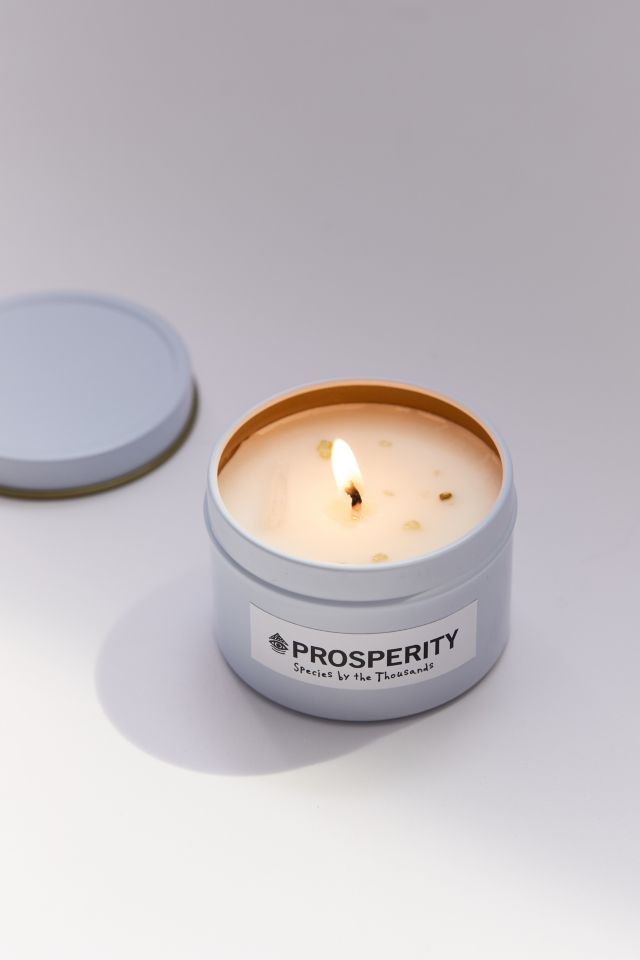 Species By The Thousands Crystal Candle #1