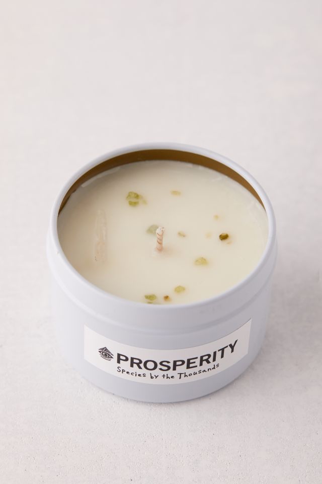 Species By The Thousands Crystal Candle #2