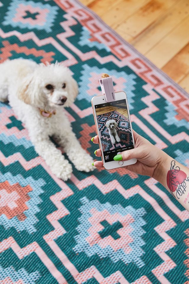 Woofie Pet Selfie + Portrait Tool #2