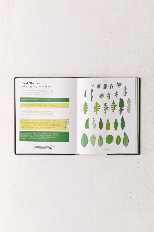 Seeing Science: An Illustrated Guide to the Wonders of the Universe By ...