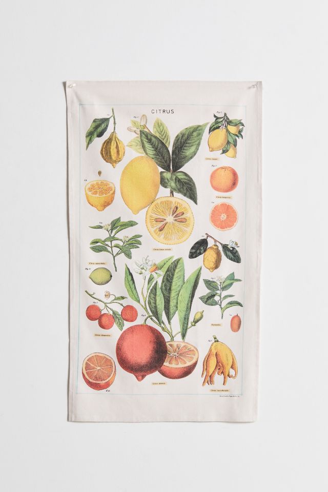 Urban outfitters fruit tapestry new arrivals