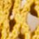 Mustard Yellow