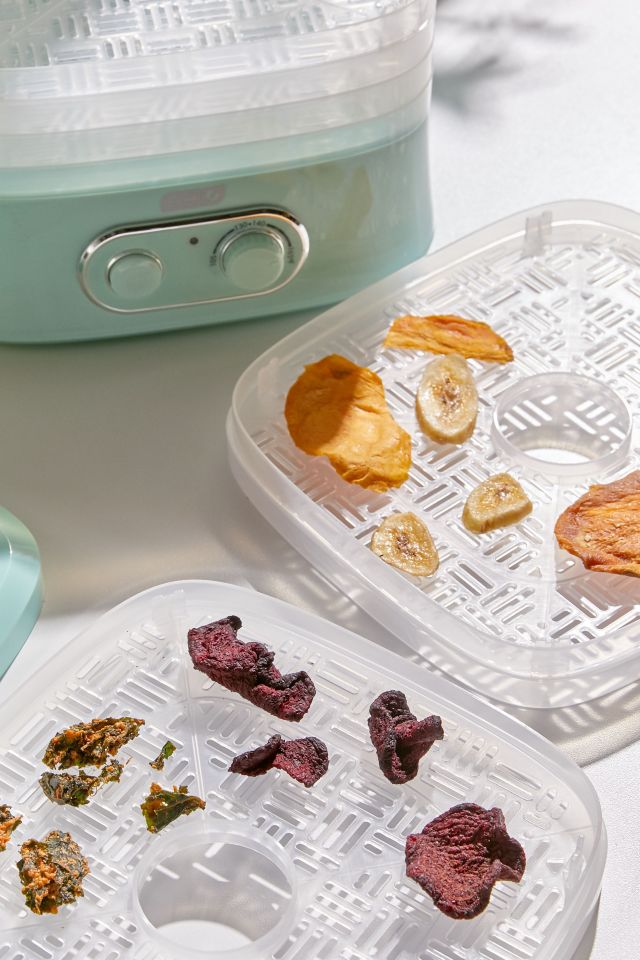 Dash Dehydrator #1