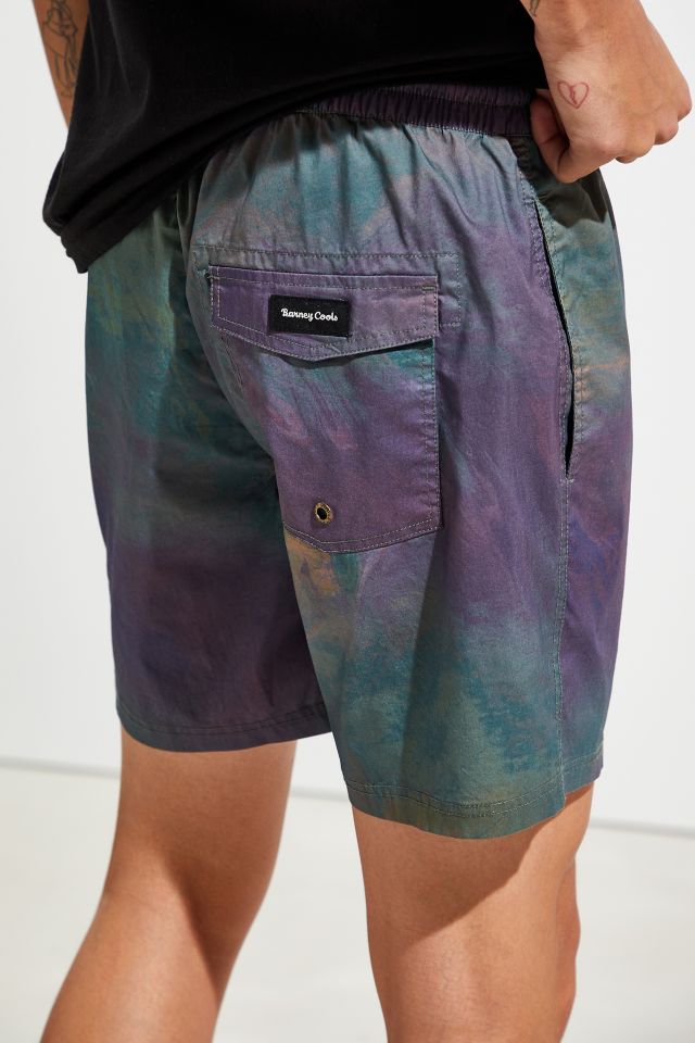 Barney Cools Poolside Swim Short #4