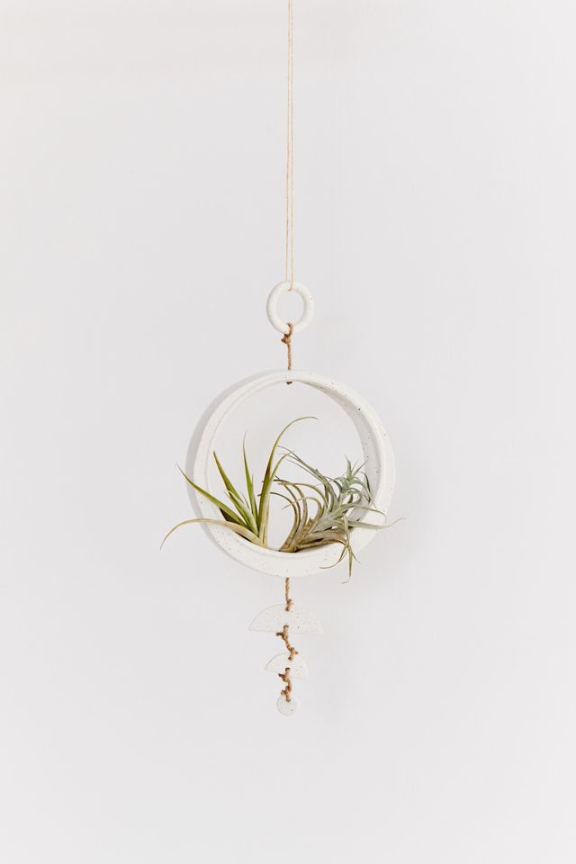 Pamina Air Plant Holder #2