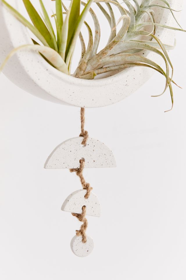 Pamina Air Plant Holder #3