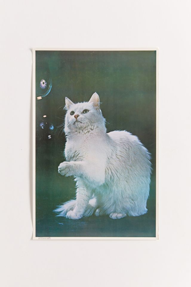 Urban Renewal Vintage Cat With Bubbles Poster #1