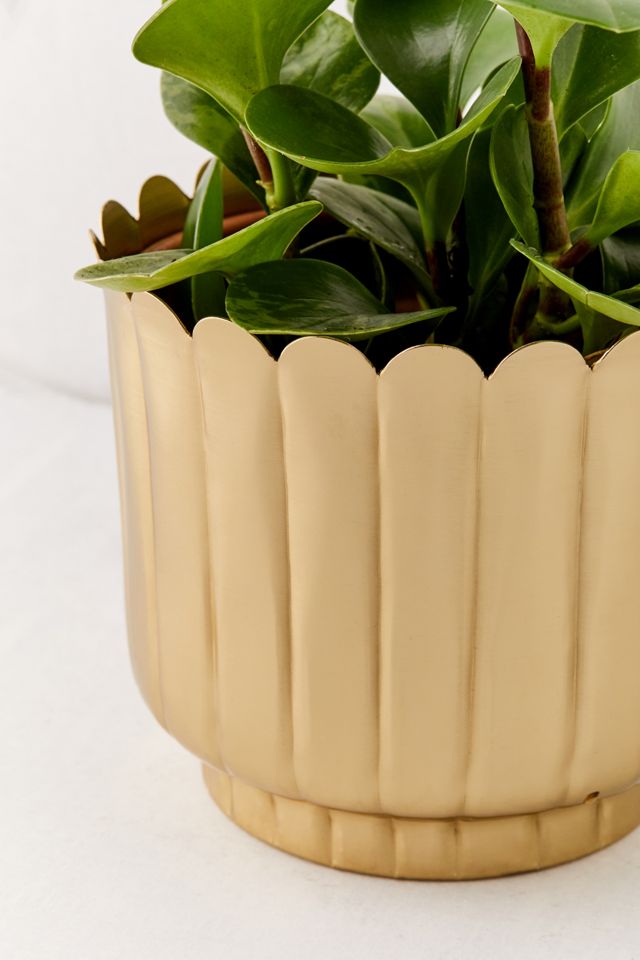 Viola Metal Planter #2
