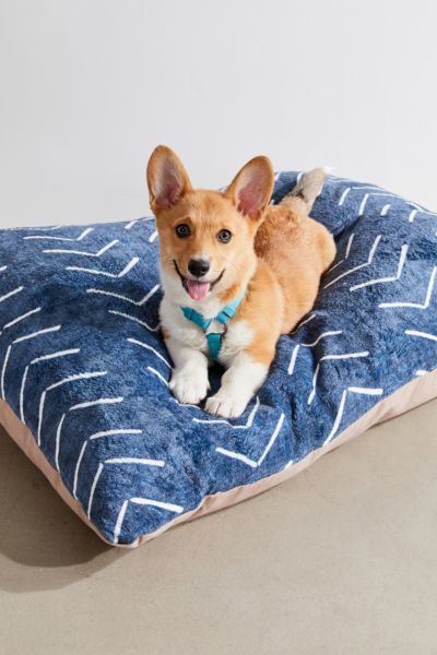 Urban outfitters outlet dog bed