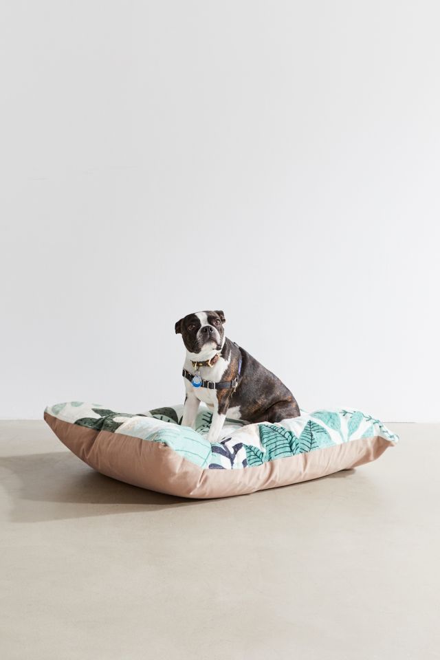 Urban outfitters shop dog bed