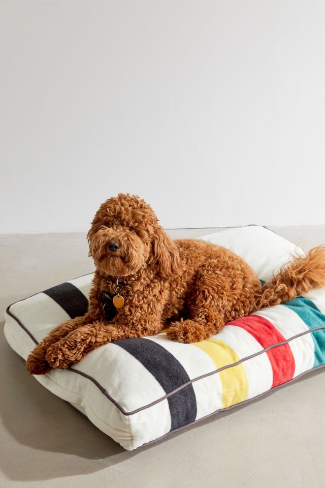 Pendleton National Park Pet Bed Urban Outfitters