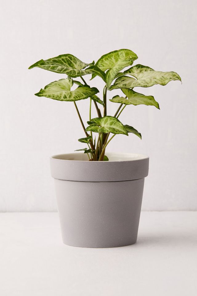Hideaway Storage Planter #2
