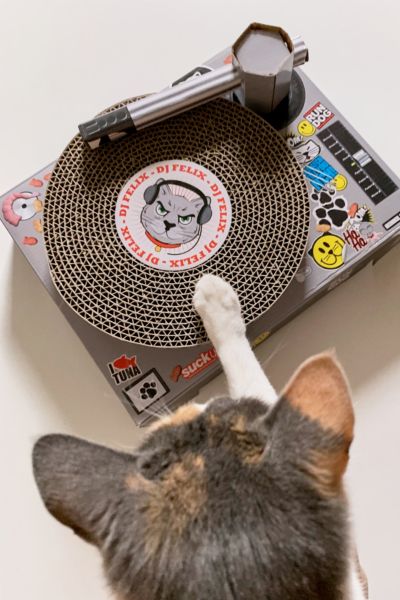 Funny DJ Scratch Cat On Turntable | Poster